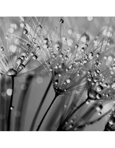 SUBLIME HYALURONIC ACID BOOSTER