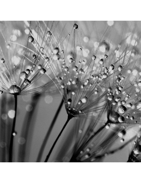 SUBLIME HYALURONIC ACID BOOSTER