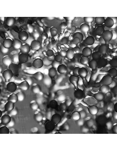 MODELING SHAPE SLIMMING FOAM