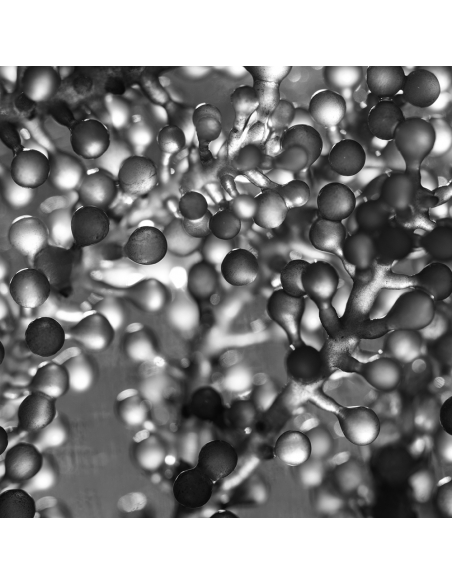 MODELING SHAPE SLIMMING FOAM