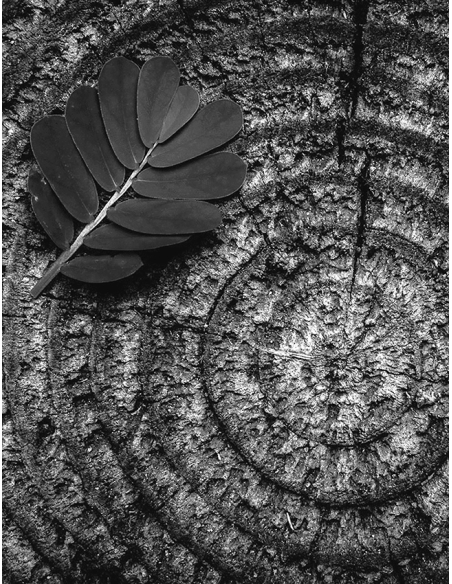 ICONIC RETINOL BOOSTER