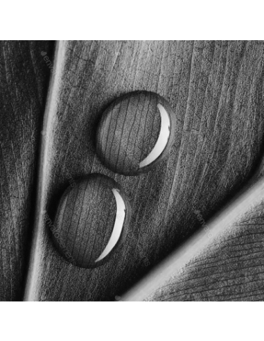 PURISSIMO TERAPIA DÚO DEL CONTORNO DE OJOS