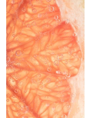 POLIVITAMINIC CREMA MEDIANOCHE